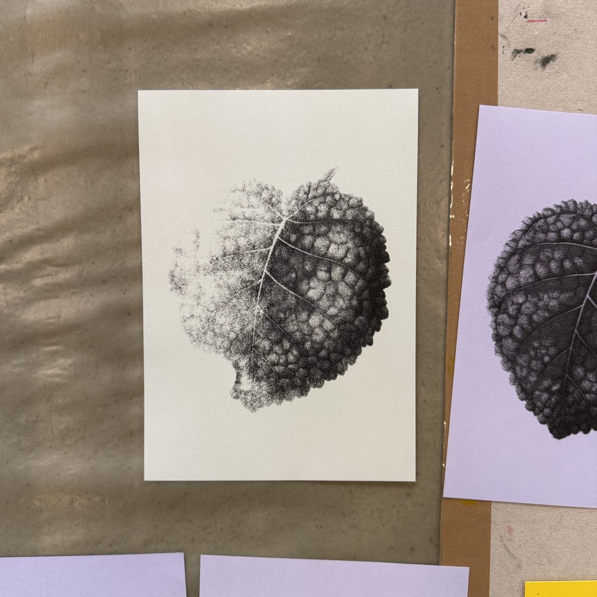 gravure sur Tetrapak & Sérigraphie pour une &laquo;&nbsp;journée en forêt&nbsp;&raquo;